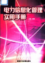 电力信息化管理实用手册 第1卷