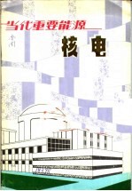 当代重要能源 核电