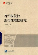 中国优秀博士论文 著作权侵权惩罚性赔偿研究