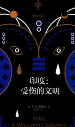 印度 受伤的文明 第2版