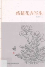 线描花卉写生