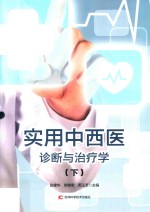 实用中西医诊断与治疗学 下 第2版