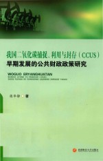 我国二氧化碳捕捉、利用与封存(CCUS)早期发展的公共财政政策研究