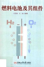 燃料电池及其组件