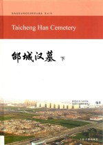 邰城汉墓 下
