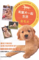 和爱犬一起生活 金毛犬