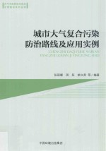 城市大气复合污染防治路线及应用实例