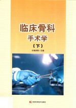 临床骨科手术学 下 第2版
