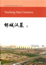 邰城汉墓 上