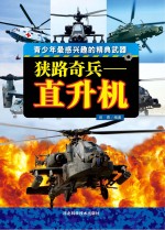 狭路奇兵 直升机