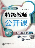 特级教师公开课 化学 九年级第1学期