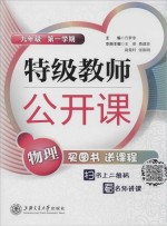 特级教师公开课 物理 九年级第1学期