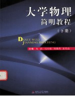 大学物理简明教程 下