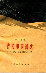 沙漠里的篝火