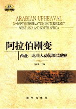 阿拉伯剧变 西亚、北非大动荡深层观察 in-depth observation on turbulent West Asia and North Africa