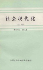 社会现代化 上