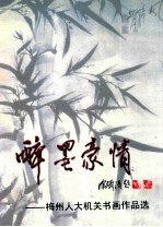 醉墨豪情 梅州人大机关书画作品选
