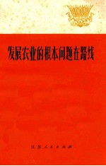 发展农业的根本问题在路线