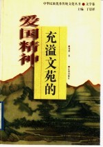 充溢文苑的爱国精神