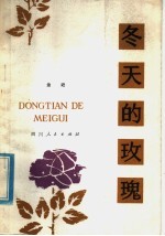 冬天的玫瑰 童话诗
