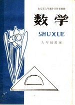 山东省六年制小学补充教材 数学 六年级用书