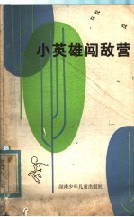 小英雄闯敌营