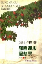 孤客漫步遐想录