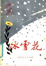 冰雪花