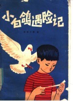 小白鸽遇险记