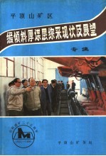 平顶山矿区缓倾斜厚煤层综采现状及展望专集 庆祝建矿三十五周年 1955-1990