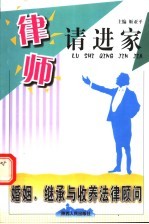 婚姻、继承与收养法律顾问