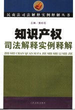 知识产权司法解释实例释解