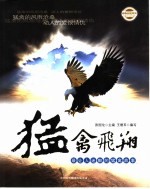 猛禽飞翔 最让人迷醉的猛禽故事