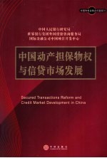 中国动产担保物权与信贷市场发展