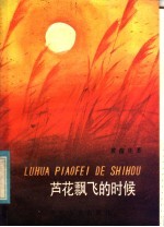 芦花飘飞的时候