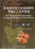 影像学引导下区域麻醉和疼痛介入治疗图谱 中文翻译版