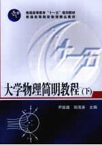 大学物理简明教程 下