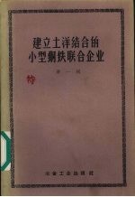 建立土洋结合的小型钢铁联合企业  第1辑