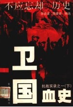 抗战实录之一:卫国血史 下