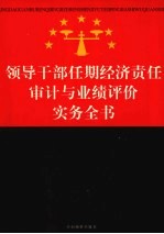 领导干部任期经济责任审计与业绩评价实务全书 中