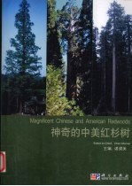 神奇的中美红杉树