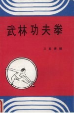 武林功夫拳