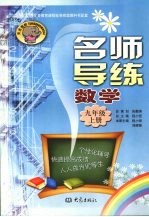名师导练 数学 九年级 上册