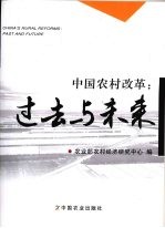 中国农村改革:过去与未来