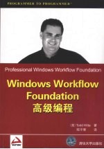 Windows Workflow Foundation高级编程