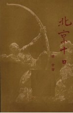 北京十日 报告文学
