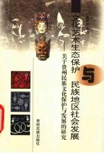 文化艺术生态保护与民族地区社会发展 关于贵州民族文化保护与发展的研究