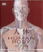 人体