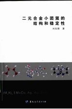 二元合金小团簇的结构和稳定性