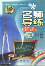 名师导练 物理 八年级 全一册